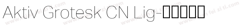 Aktiv Grotesk CN Lig字体转换